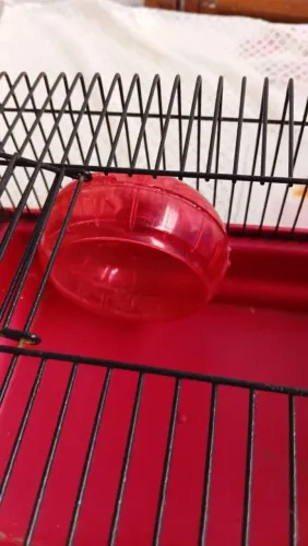 Gaiola para hamster