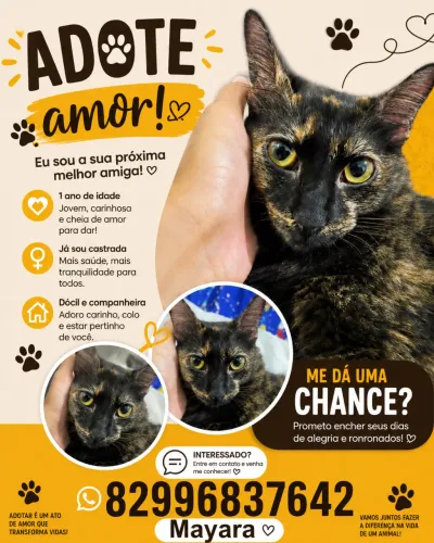 Gata dócil 