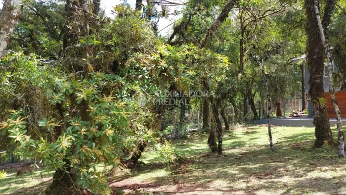 Terreno no condomínio Altos Pinheiros em Canela