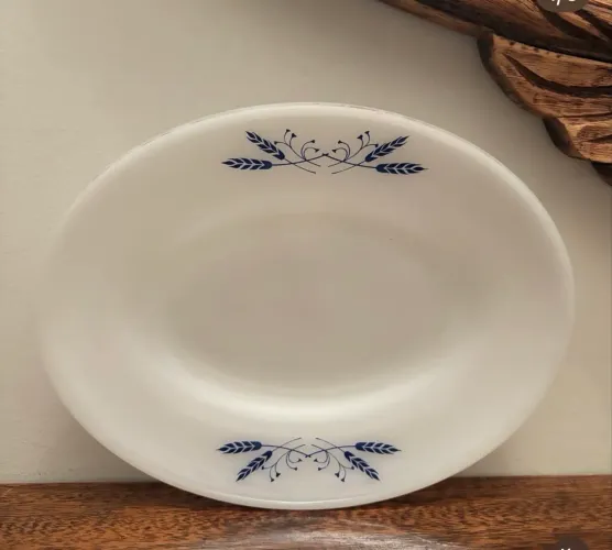 travessa oval da marca Colorex 
