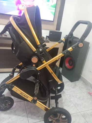 Carrinho europeu, Moisés removível.