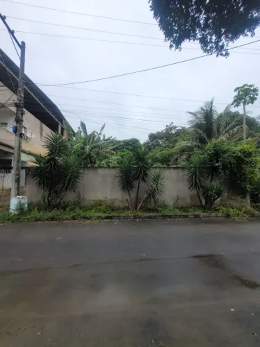 Lote Novo Brasil