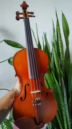 Violino Eagle Vk144 usado