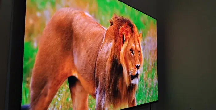 TV OLED 55 4K UHD 55S90C ALEXA BUILT IN 