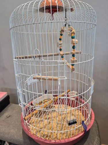 Vendo gaiola redonda calopsita 64cm