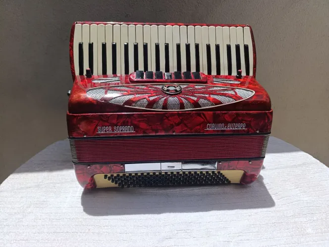 Acordeon, sanfona 120 baixos