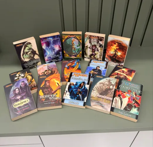 Lote de livros 