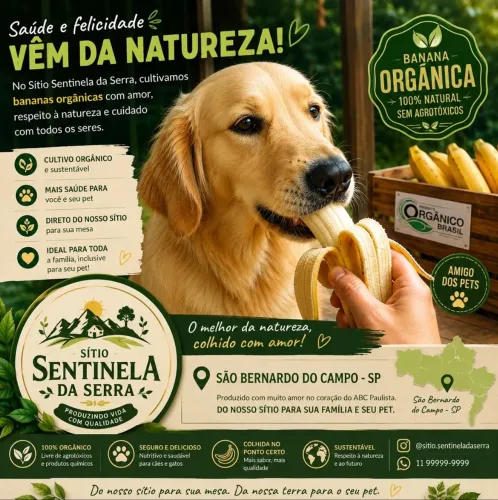 Banana Orgânica para seu pet