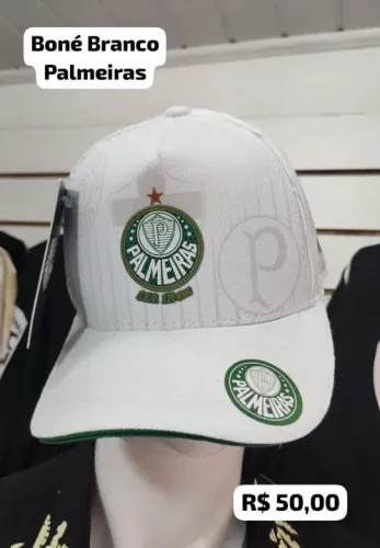 Boné do Palmeiras Novo