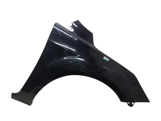 Paralama Dianteiro Direito Ford Focus 2.0  2009/2010 