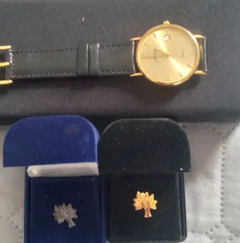 Relógio Ouro e Broches