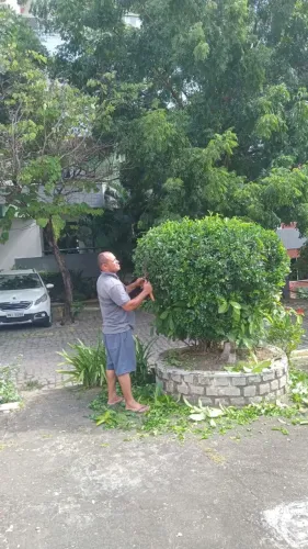 Jardinagem,corte e poda de árvores, plantio de grama