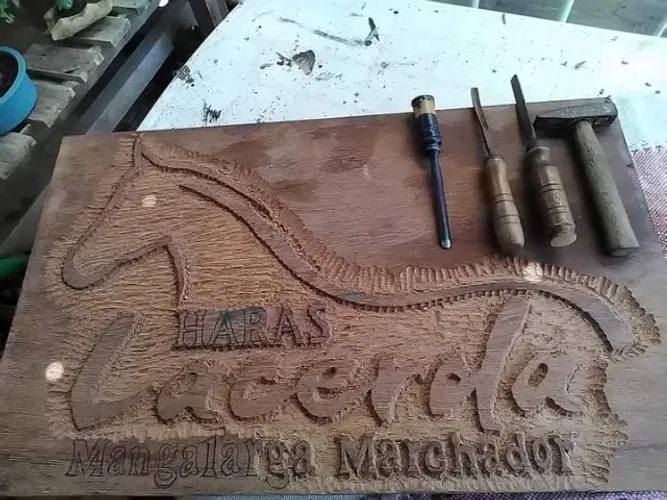 Placas madeira maciça