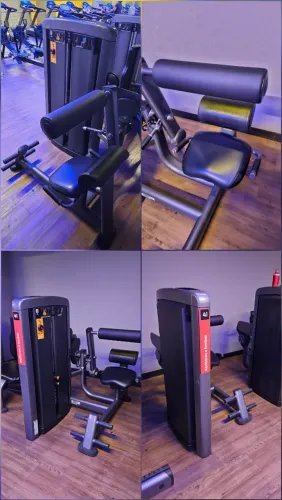 Extensão Lombar Lifefitness 