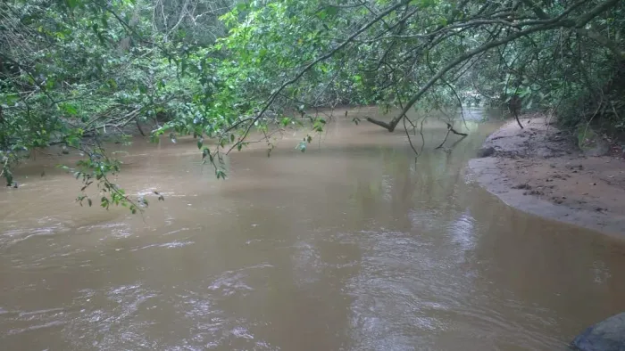 Chácara de 1,5 alqueire em Bela Vista de Goiás com um lindo Ribeirão nos fundos 600.000.00