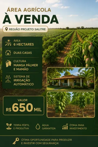 Área em produção no salitre