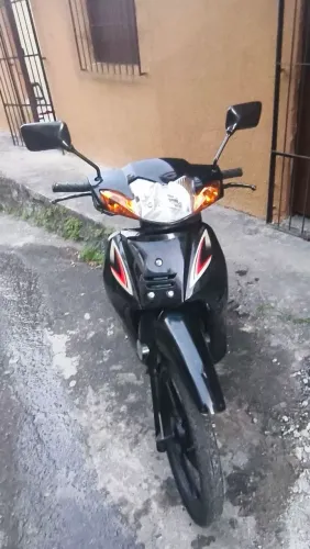 Shineray Phoenix Gold 50cc