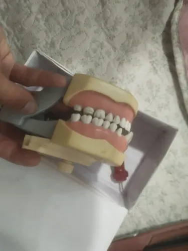 Manequim odontológico