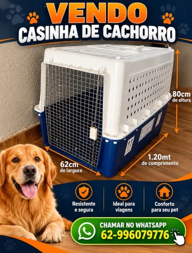 Casinha cachorro 
