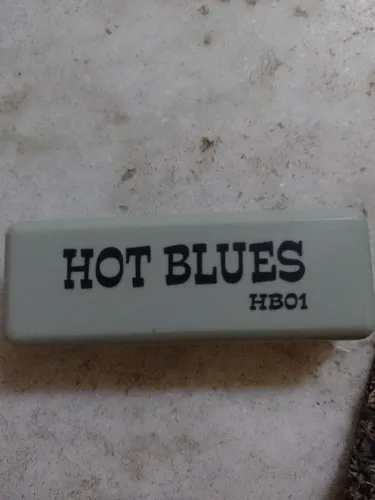 Gaita hot blues