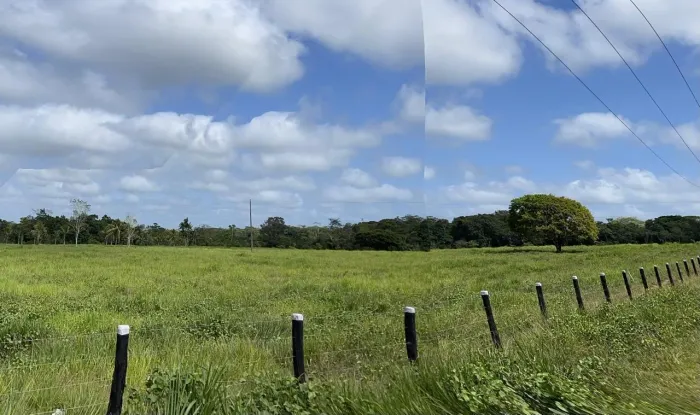 Oportunidade no Agronegócio