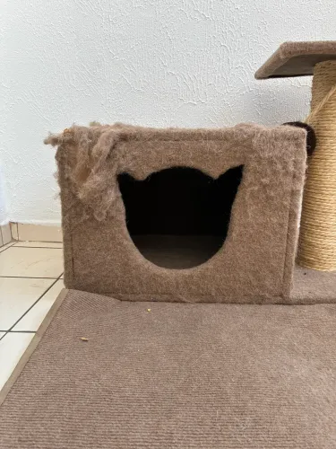 Arranhador para gatos