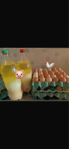 OVOS, LEITE E BANHA CAIPIRA. 
