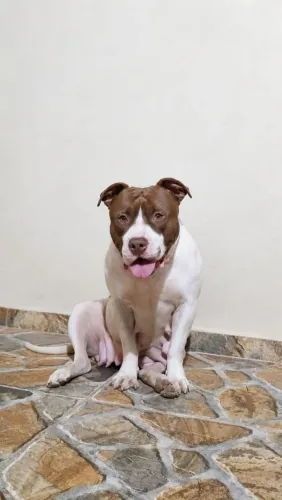 Pit Monster 