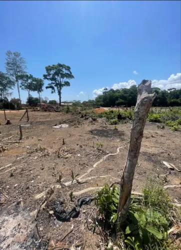 Vendo terreno no goiabal