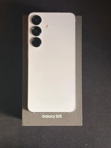 Samsung Galaxy S25 256GB 12GB RAM (Impecável)