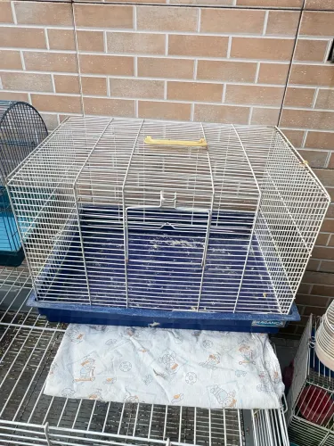 Gaiola hamster