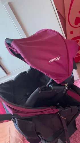 Vendo carrinho e bebê conforto (com detalhe) 