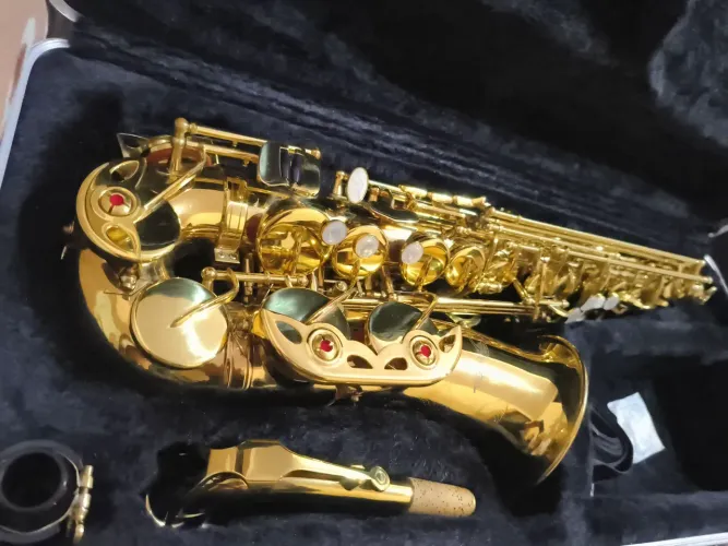 Sax alto shelter