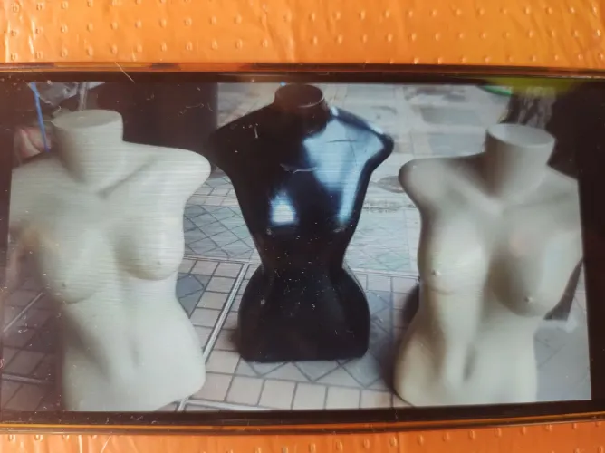 MANEQUINS MEIO CORPO