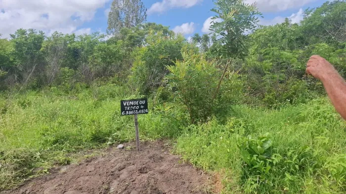 Terreno horizonte em dourado