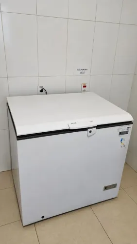 Freezer 300L Consul Estado Novo