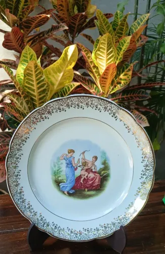 Prato Porcelana Real 32 cm 