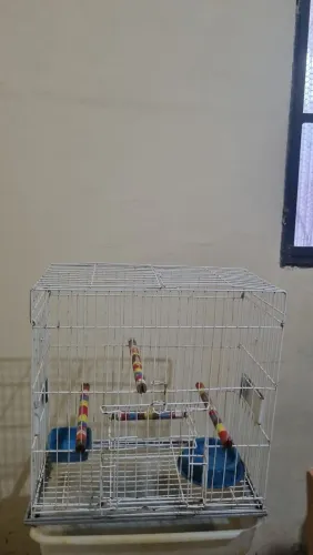 Gaiola média para pássaros