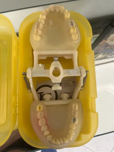 Manequim odontológico 