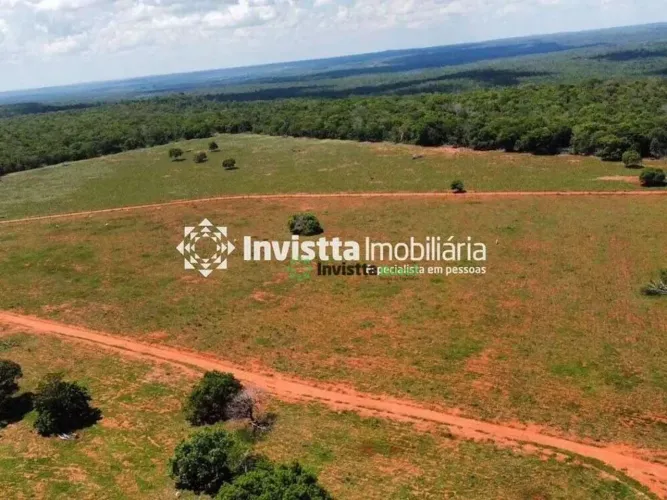 Fazenda à venda em Cristalândia/TO com 50 alqueires, dupla aptidão para pecuária e soja, e