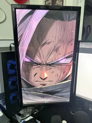 Monitor 