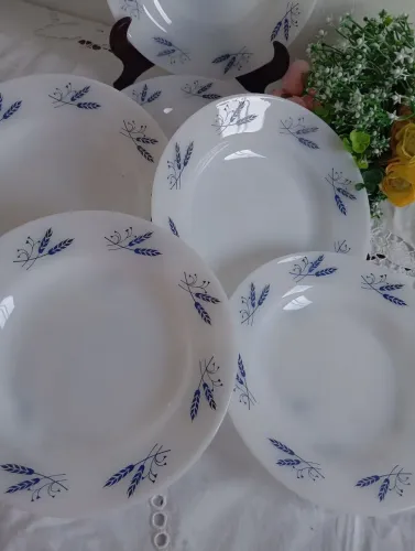 Vendo meia dúzia de pratos fundo colorex triguinho novo