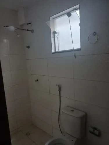 Aluguel samambaia