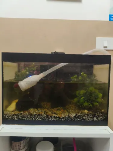 Vendo aquário 28 litros completo