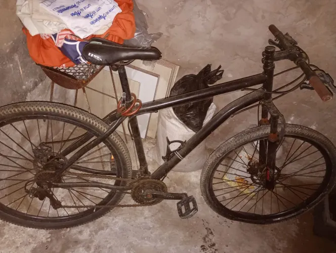 Bicicleta