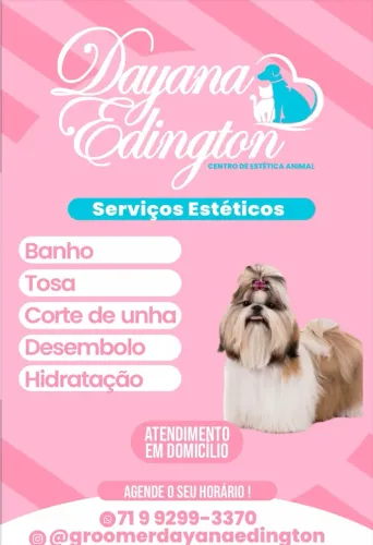 Banho e tosa 