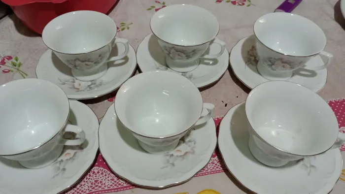 Vendo 6 chicaras Schmidt de café