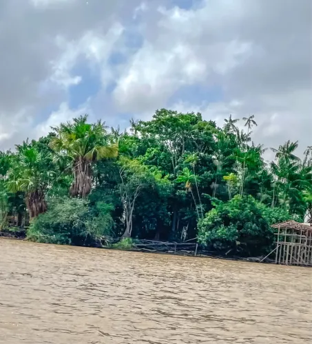 TERRENO NA ILHA DO FAROL - 300m² DOCUMENTADO E PRONTO PARA INVESTIMENTO