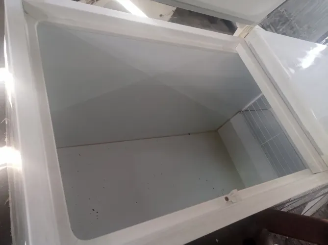 Freezer horizontal