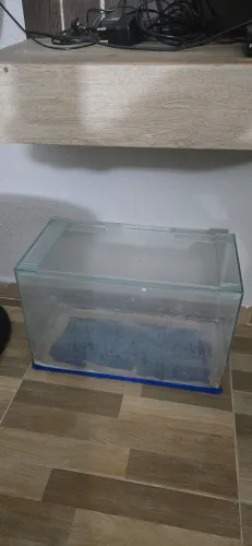 Aquário grande